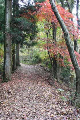 湖北-山道