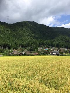 miyama01.jpg