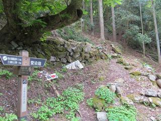 0505_04.jpg