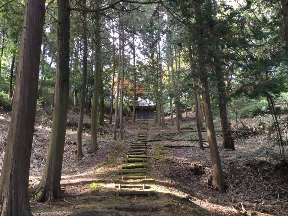 近江信楽の多羅尾に遠征: 播磨屋 備忘録
