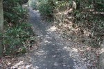 大文字-西の竪堀