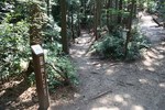 東山-トレイルに