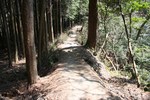東山-土橋道