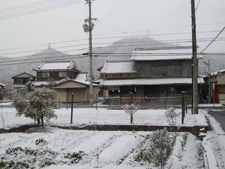 �c�ɂ̐�201401