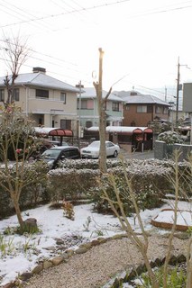 元旦の初日の出