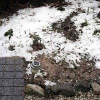 大晦日の雪-1