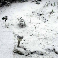 大晦日の雪-2