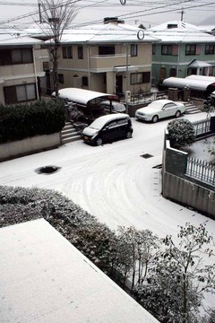 大晦日の雪-3