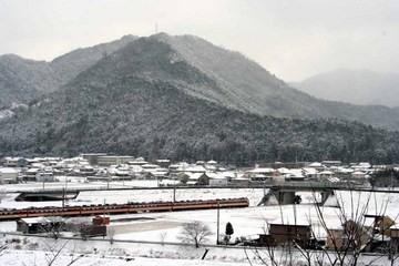 IMG_1194.jpg