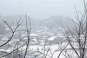 七日の雪-大山