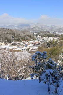 IMG_1385.jpg