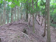 IMG_5949.jpg