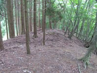 IMG_5954.jpg
