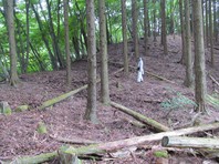 IMG_5963.jpg