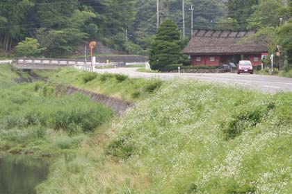 澤山-門