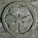 ����-�J�^�o�~