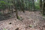 峰堂-南寺院跡
