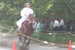 葵祭-走馬