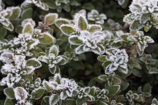 ����_20111218