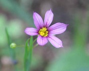 ��_�Z�L�V���E