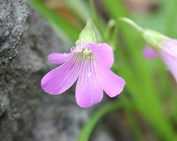 ��_�|����