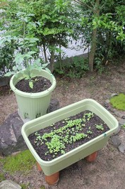 �v�����^_01