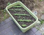 �v�����^_02