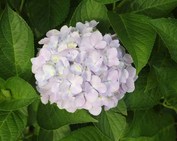 ��_���z��