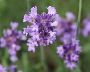 ��_���x���_