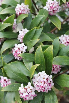 0407-��̒�����