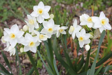 0407-��̐���