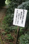 佐和山_登り道