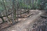 嵐山-山道