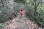 嵐山-雑木の道