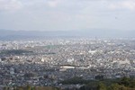 嵐山-桂を見る