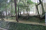 嵐山-苔寺そば