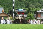 水無月-青田と山車
