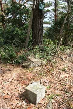 三国山三角点