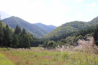 里山下見_03