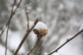 雪20130224_01