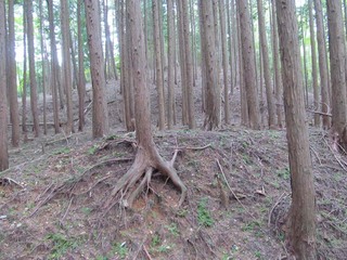 能勢吉良城-01