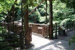 瀧山-かづら橋