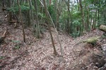 奥畑-堀切