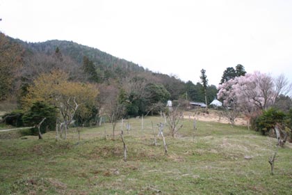 滝峰-遠望