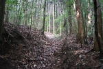滝峰−山道
