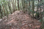 滝峰-横堀土塁