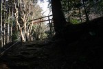 西野々砦