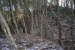 東山城06