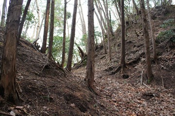金山城堀切
