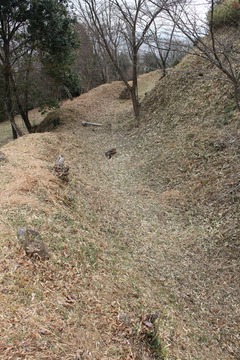 猪崎城横堀